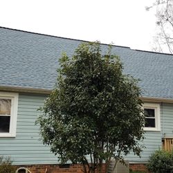 All American Roofing & Restoration
