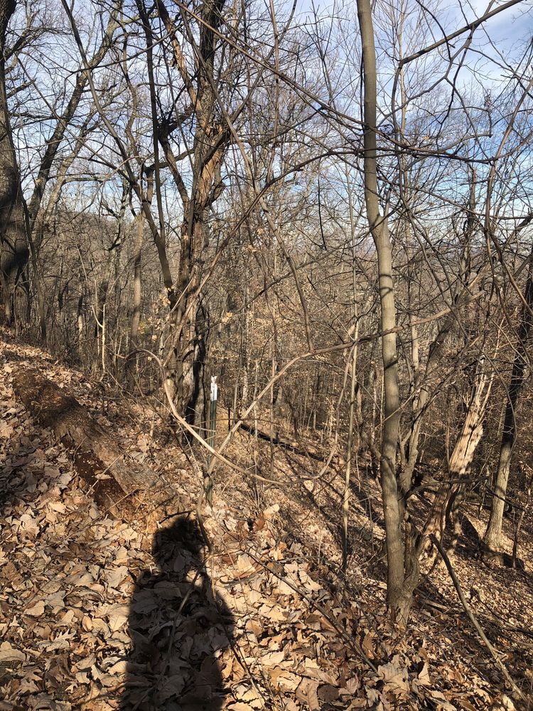 IROQUOIS PARK 147 Photos & 59 Reviews Parks 5216 New Cut Rd