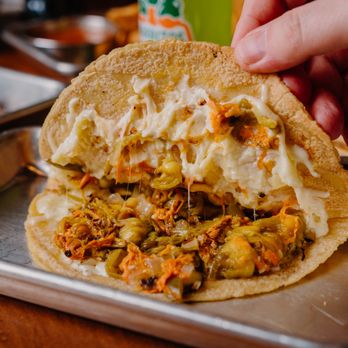 Maize on Neil - Zucchini Blossoms quesadilla with handmade organic tortilla! - Mexican Near Me - Champaign, Illinois Maize on Neil - Zucchini Blossoms quesadilla with handmade organic tortilla! - Mexican Near Me - Champaign, Illinois