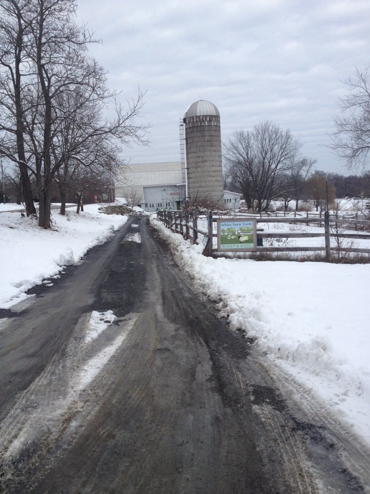 WHITE BARN FARM SHEEP AND WOOL Updated October 2024 815 Albany Post Rd, New Paltz, New York