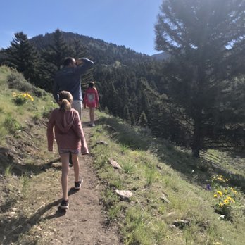 Yellowstone Insight - MacNeil Lyons Guiding - This is one of the beautiful hikes he recommended - Tours Near Me Yellowstone Insight - MacNeil Lyons Guiding - This is one of the beautiful hikes he recommended - Tours Near Me