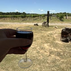 Lucky Vines Vineyard & Winery