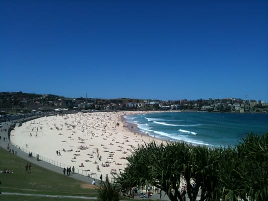 Bondi Beach by null