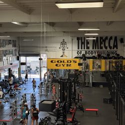 Gold's Gym