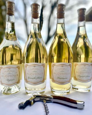 Acquiesce Winery by null