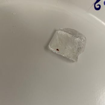 McDonald's - found this in my drink - Burgers Near Me - Somerset, Kentucky