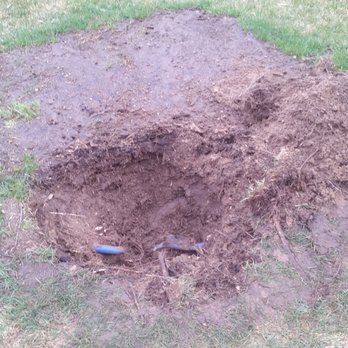 Today's Tree Service - Tree Services Near Me - La Crosse, Wisconsin Today's Tree Service - Tree Services Near Me - La Crosse, Wisconsin
