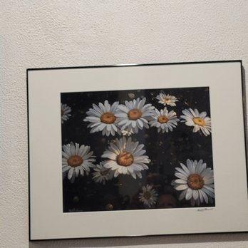 Miss Daisy's - Local photographer by Robert Carroll. - Home Decor Near Me - Syracuse, New York Miss Daisy's - Local photographer by Robert Carroll. - Home Decor Near Me - Syracuse, New York