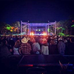 a crowd of people at a concert