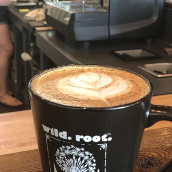Wild Root - Coffee & Tea Near Me - Lynn Haven, Florida Wild Root - Coffee & Tea Near Me - Lynn Haven, Florida