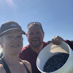 Nappe Blueberry Farms - Blueberries