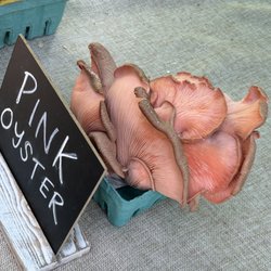 North Asheville Tailgate Market