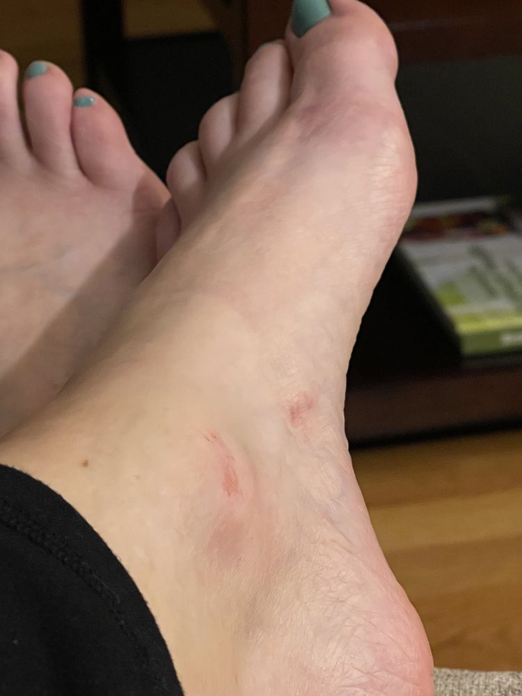 DIVA NAILS SALON Updated August 2024 33 Photos & 41 Reviews 240