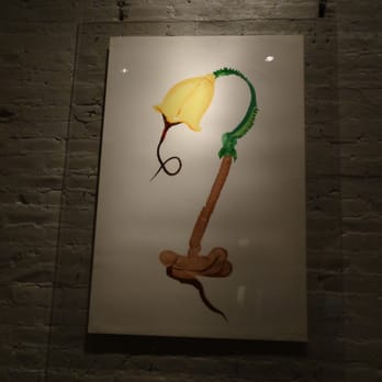 Le Bouillon - French Near Me - Omaha, Nebraska
