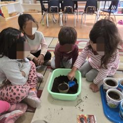 Orchard Montessori
