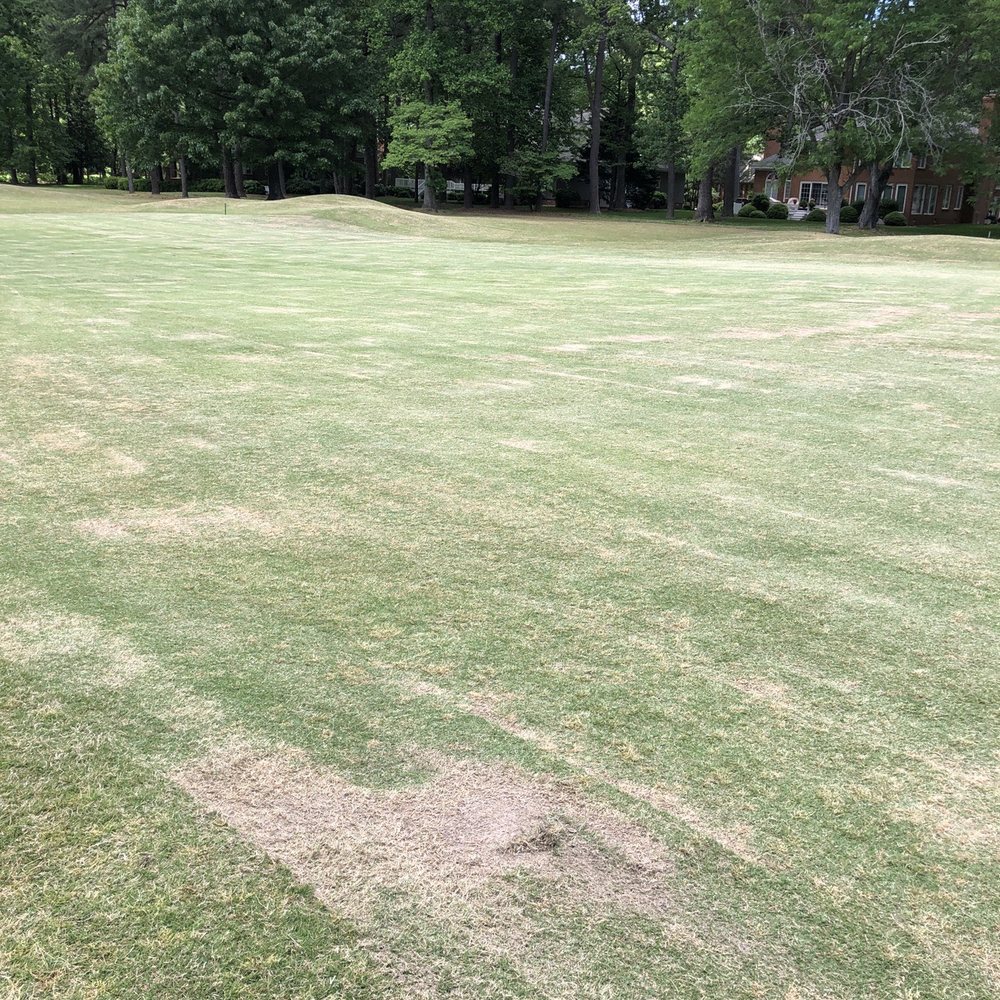 Fairways scalped my mower Fairways scalped my mower