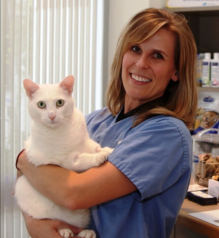 Islington Village Animal Hospital Image