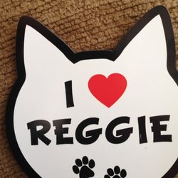 Positively Pets - Custom Car/Fridge Magnets