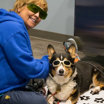 Pawsitive Strides Veterinary Rehabilitation and Therapy - Both Mary and this lovely little corgi are seen here in goggles to protect their eyes while using cold laser therapy. - Veterinarians Near Me - Des Moines, Iowa Pawsitive Strides Veterinary Rehabilitation and Therapy - Both Mary and this lovely little corgi are seen here in goggles to protect their eyes while using cold laser therapy. - Veterinarians Near Me - Des Moines, Iowa