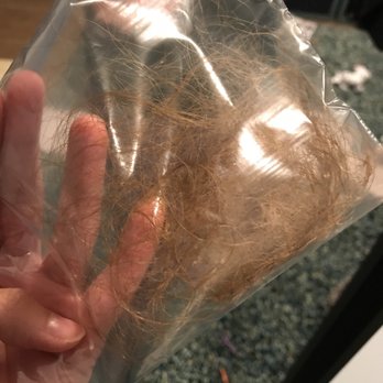 Poza Salon - This is what happens when I brush my hair. - Hair Salons Near Me - Charlotte, North Carolina