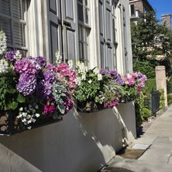 Charleston Historic Tours & Transportation