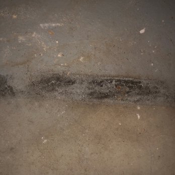 Burnt Mill Apartment Homes - Black mold on basement floor that was there on move in day. Rosemarie told us the floor would be painted before move in. Never happened. - Apartments Near Me - Voorhees, New Jersey Burnt Mill Apartment Homes - Black mold on basement floor that was there on move in day. Rosemarie told us the floor would be painted before move in. Never happened. - Apartments Near Me - Voorhees, New Jersey
