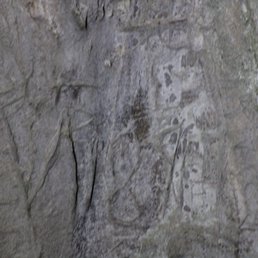 Cave drawings. Cave drawings.