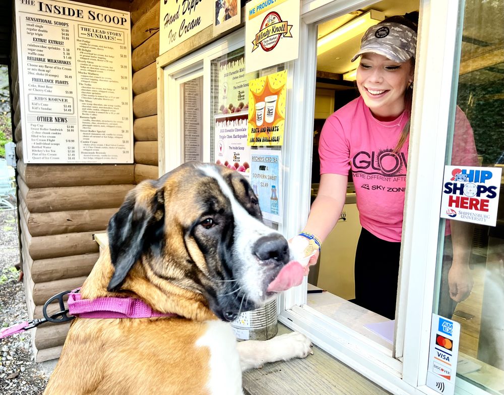 Food from Inside Scoop Ice Cream