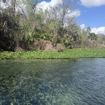 Wekiwa Springs State Park - Wekiva Springs - Parks Near Me - Apopka, Florida Wekiwa Springs State Park - Wekiva Springs - Parks Near Me - Apopka, Florida