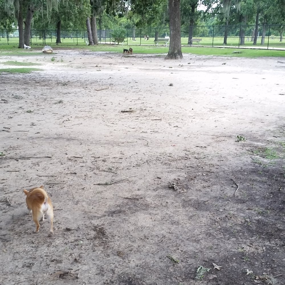 Small dog park. Small dog park.
