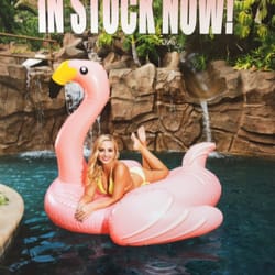 Niguel Pool Supply - Giant inflatable flamingo and swan are available now at Niguel Pool Supply!