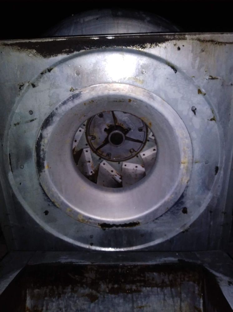 EL PASO CLEANING SOLUTIONS Updated August 2024 3899 Krag St, El