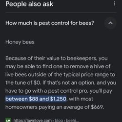 Freedom Bee Specialist