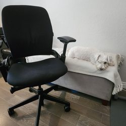 UC San Diego Surplus Sales - Used, good condition Steelcase Leap V2 for 225!