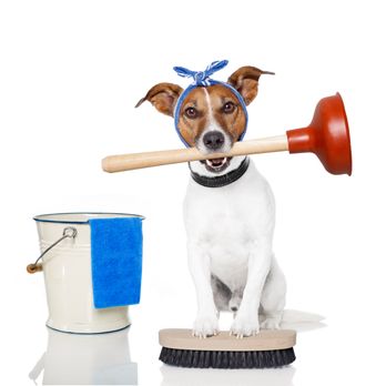 Suzy's Cleaning - Home Cleaning Near Me Suzy's Cleaning - Home Cleaning Near Me