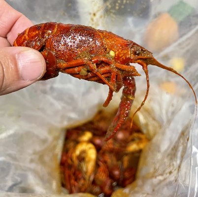 Cajun Crawfish Stop by null
