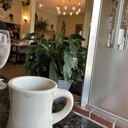 The Social Plate - Coffee