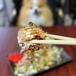 Kumako Ramen Den - Takoyaki: Octopus Balls w/ mayo, okonomi sauce, bonito flakes, scallions | 6 pc - $8.50 (one dog-friendly outdoor table)