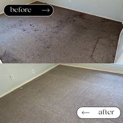 Essential Carpet Cleaning