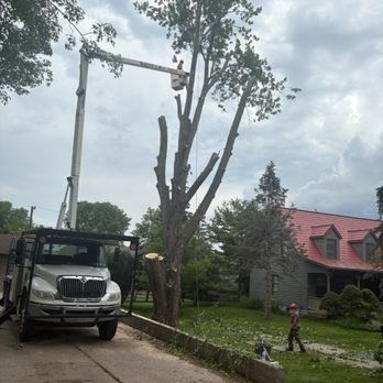 TNT Tree Service - Tree Services Near Me - Belleville, Michigan TNT Tree Service - Tree Services Near Me - Belleville, Michigan