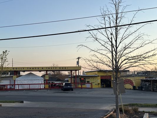 Daddy's Dogs by null