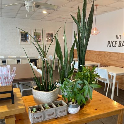 The Rice Bar by null