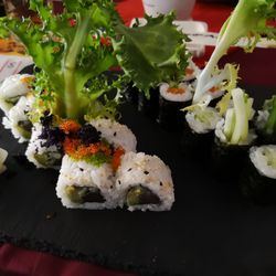 Tamakuchi - Sushi am Mittag