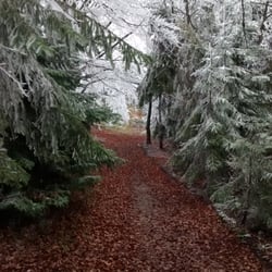 Rezerwat Przyrody Śnieżnica - Najpiękniejsza ścieżka na świecie!