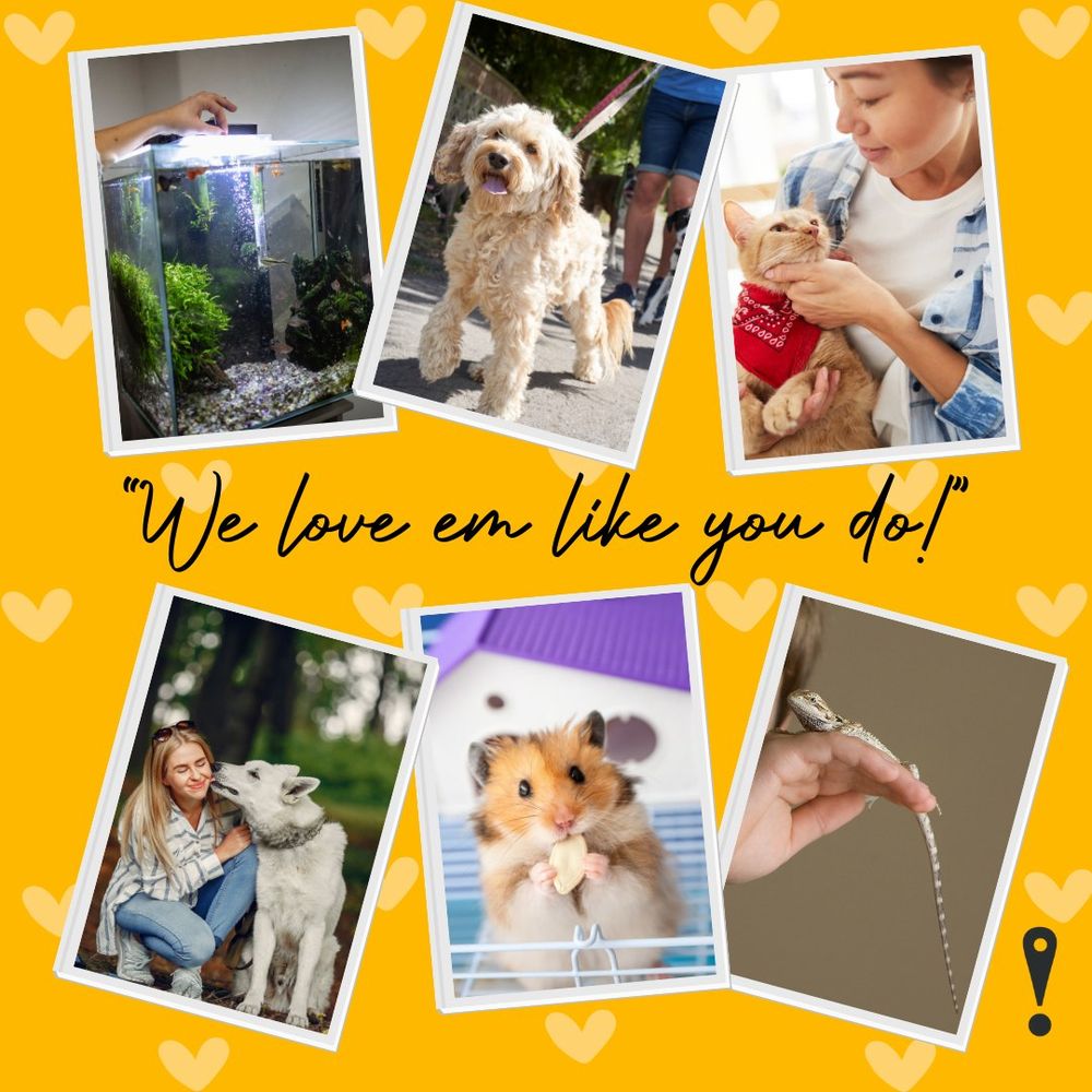 FETCH PET CARE OC CENTRAL Updated September 2024 12 Photos Irvine