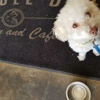 Humble Bee - They gave my doggie a bowl of water... how sweet!!! - Breakfast & Brunch Near Me - Northridge, California Humble Bee - They gave my doggie a bowl of water... how sweet!!! - Breakfast & Brunch Near Me - Northridge, California