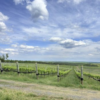 Blenheim Vineyards - Wineries Near Me - Charlottesville, Virginia