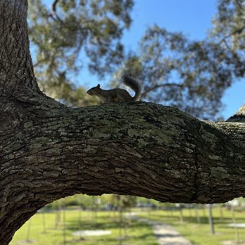 Blue Jacket Park - Parks Near Me - Orlando, Florida