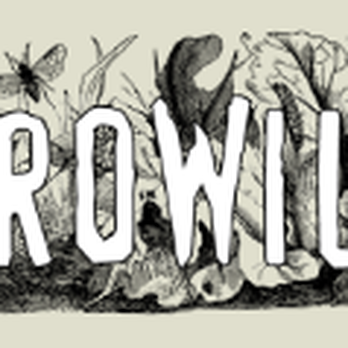 Growild - Nurseries & Gardening Near Me - Fairview, Tennessee Growild - Nurseries & Gardening Near Me - Fairview, Tennessee