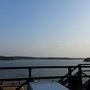 Photo of Bistraud